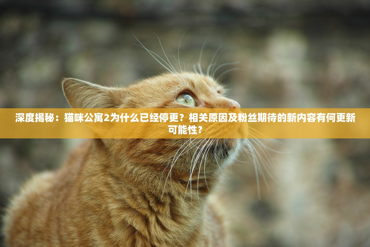 (纪念碑谷攻略第八关乌鸦巢)纪念碑谷攻略，第八关深度解析，解锁神秘迷宫的奥秘！
