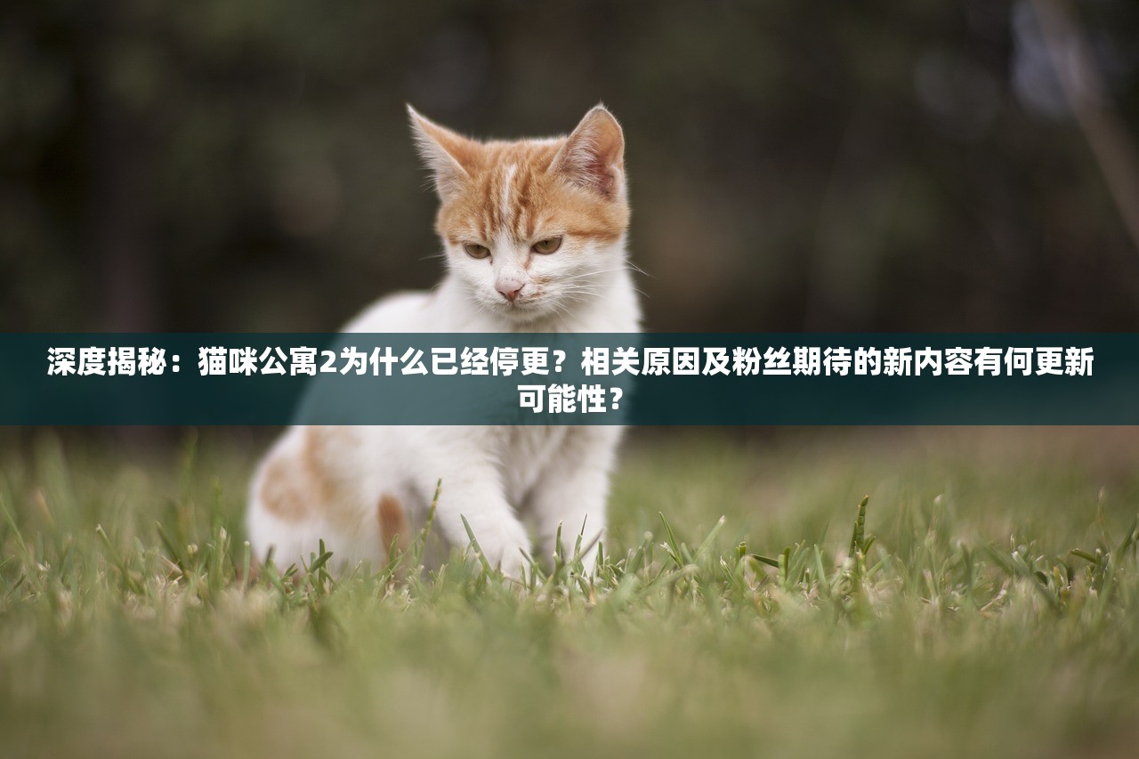 (忆游13道)忆游十三道，最强攻略全解析，轻松解锁游戏新境界！