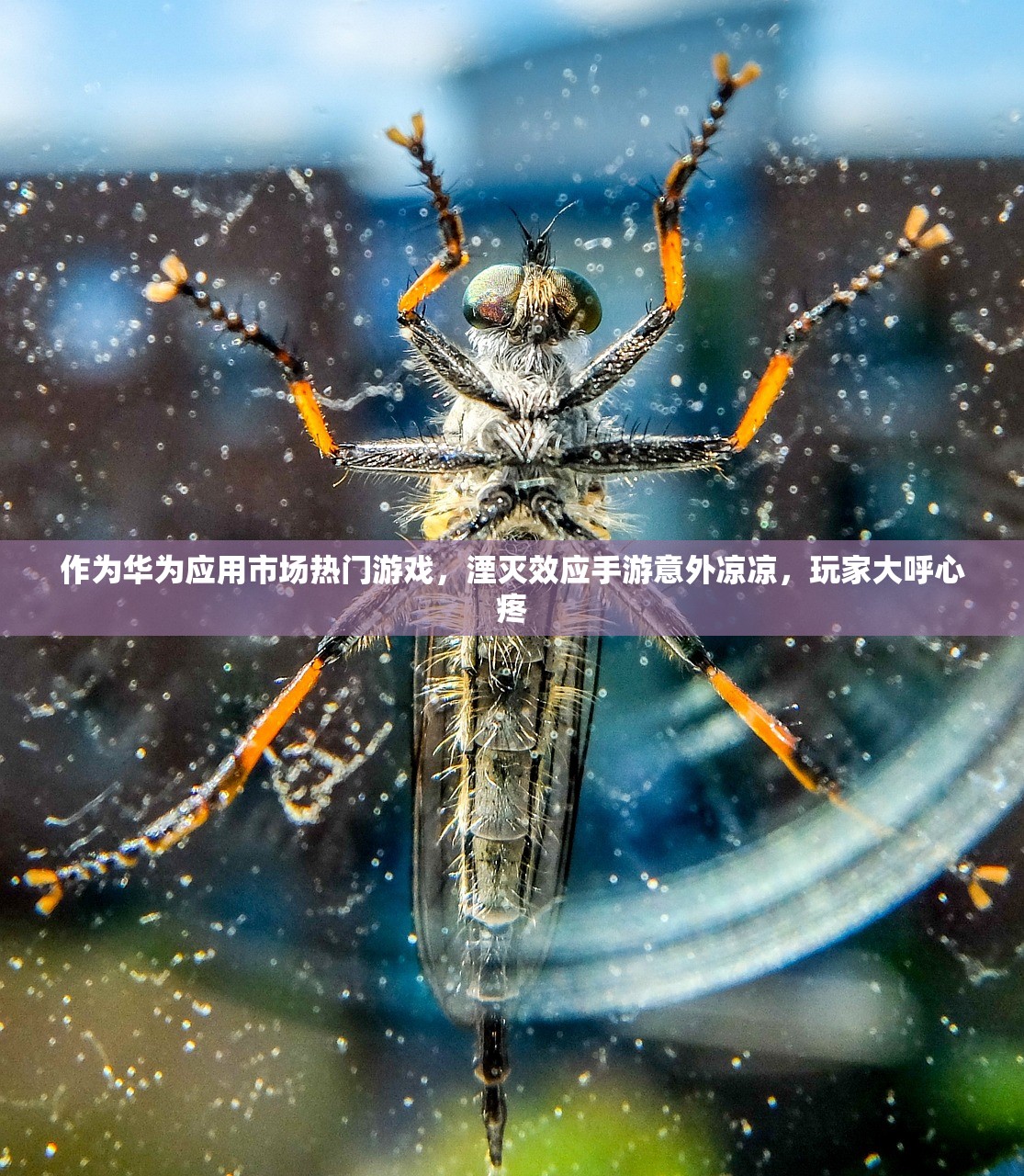 作为华为应用市场热门游戏，湮灭效应手游意外凉凉，玩家大呼心疼