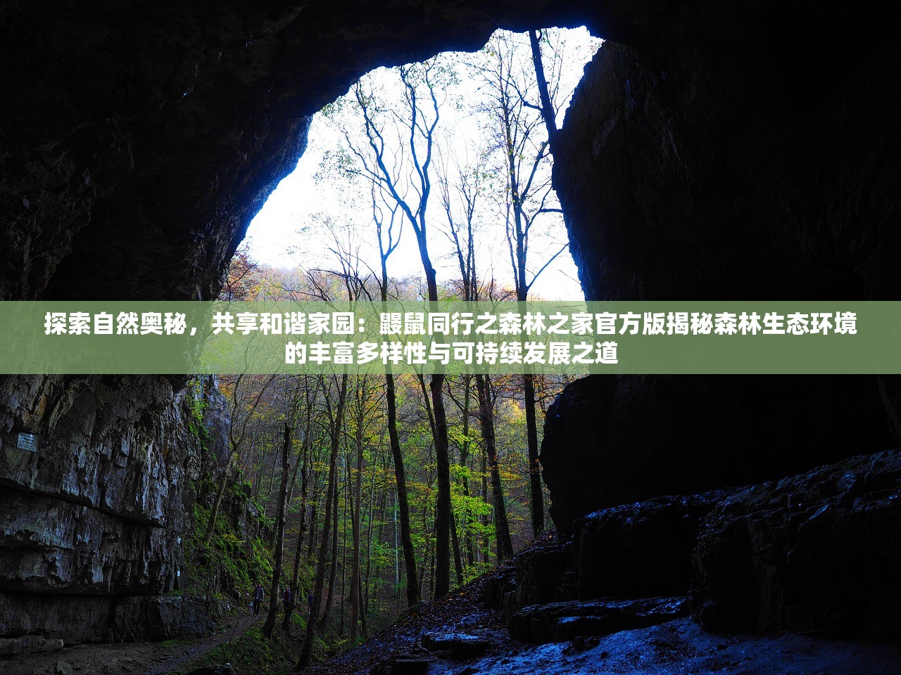 探索自然奥秘，共享和谐家园：鼹鼠同行之森林之家官方版揭秘森林生态环境的丰富多样性与可持续发展之道