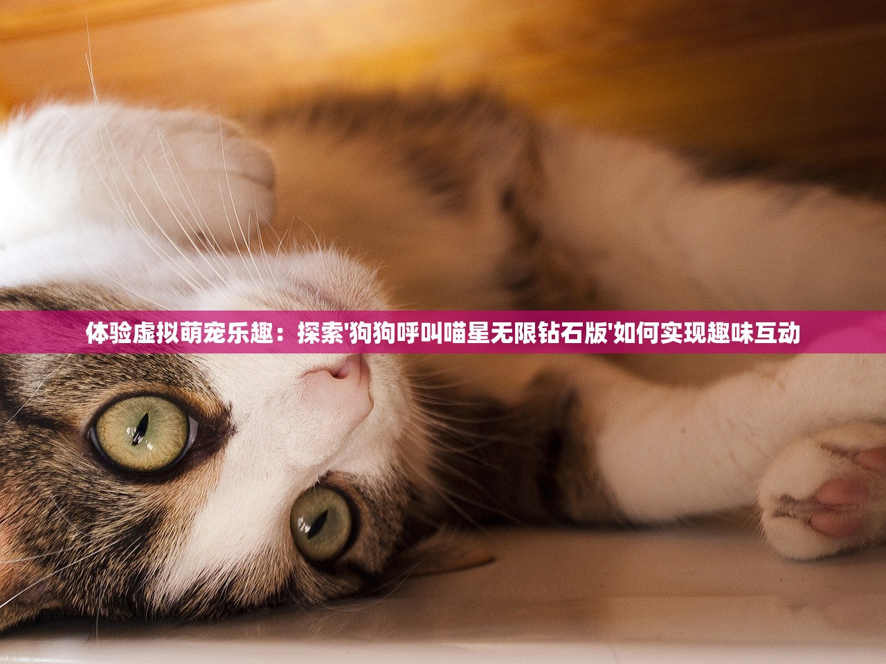 体验虚拟萌宠乐趣：探索'狗狗呼叫喵星无限钻石版'如何实现趣味互动