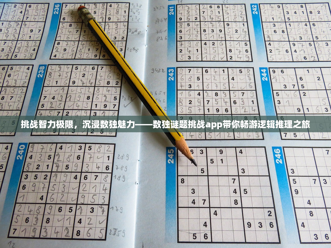 挑战智力极限，沉浸数独魅力——数独谜题挑战app带你畅游逻辑推理之旅