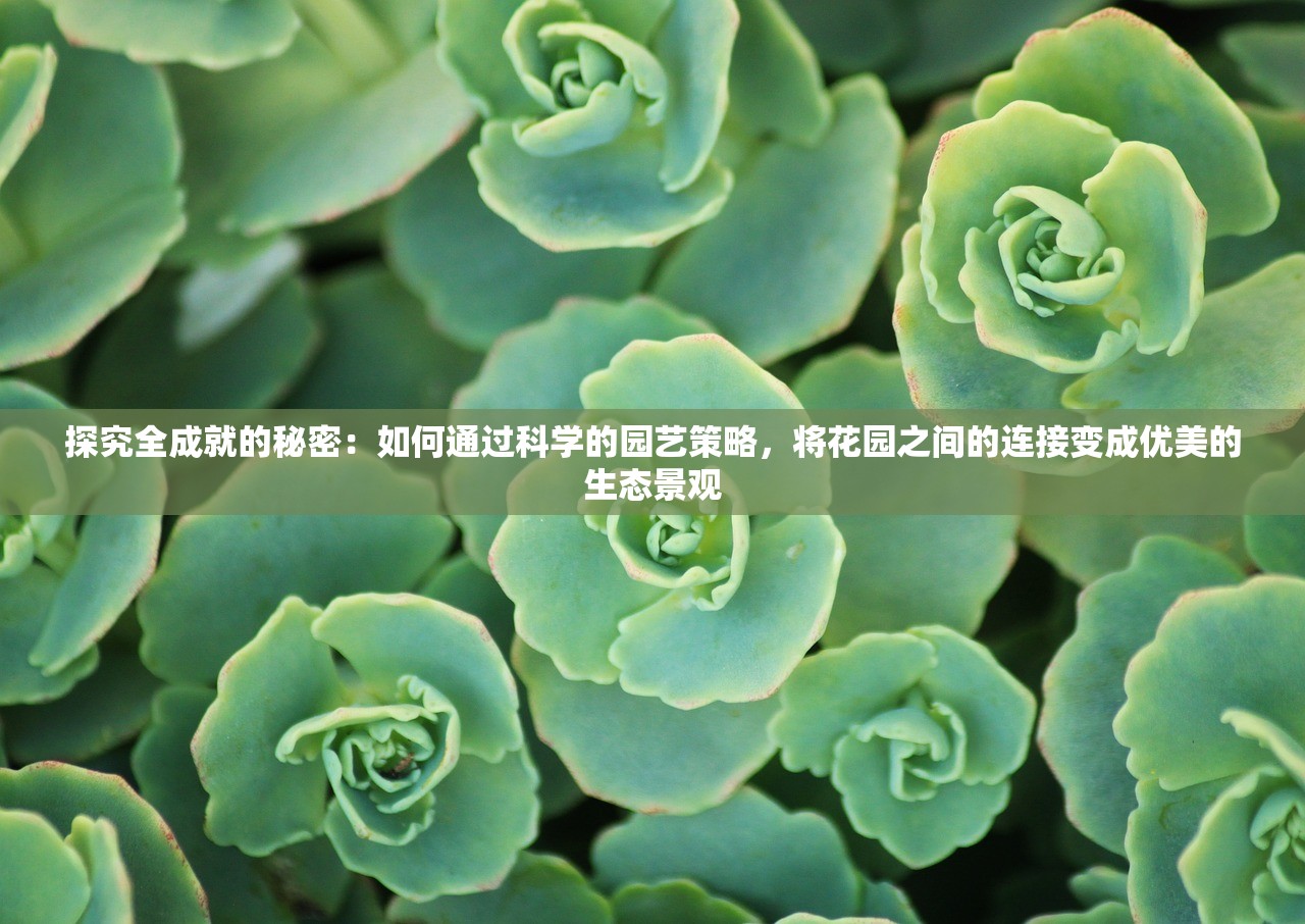 (疾风幻境游戏攻略)疾风幻境，探索东方奇幻游戏世界的奥秘与挑战