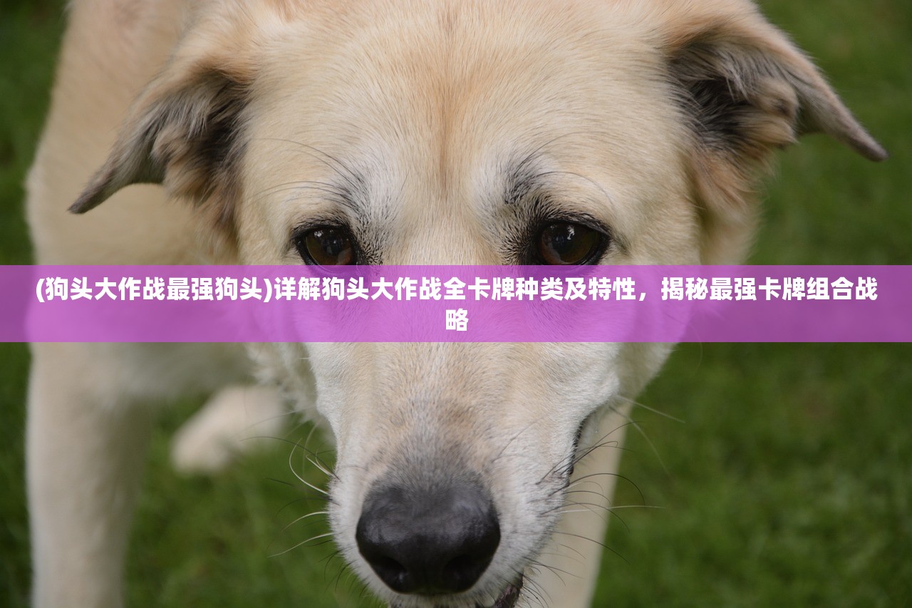 (莽荒纪各境界寿命是多少年)莽荒纪，揭秘各境界寿命之谜，探寻生命奥秘的奇幻之旅