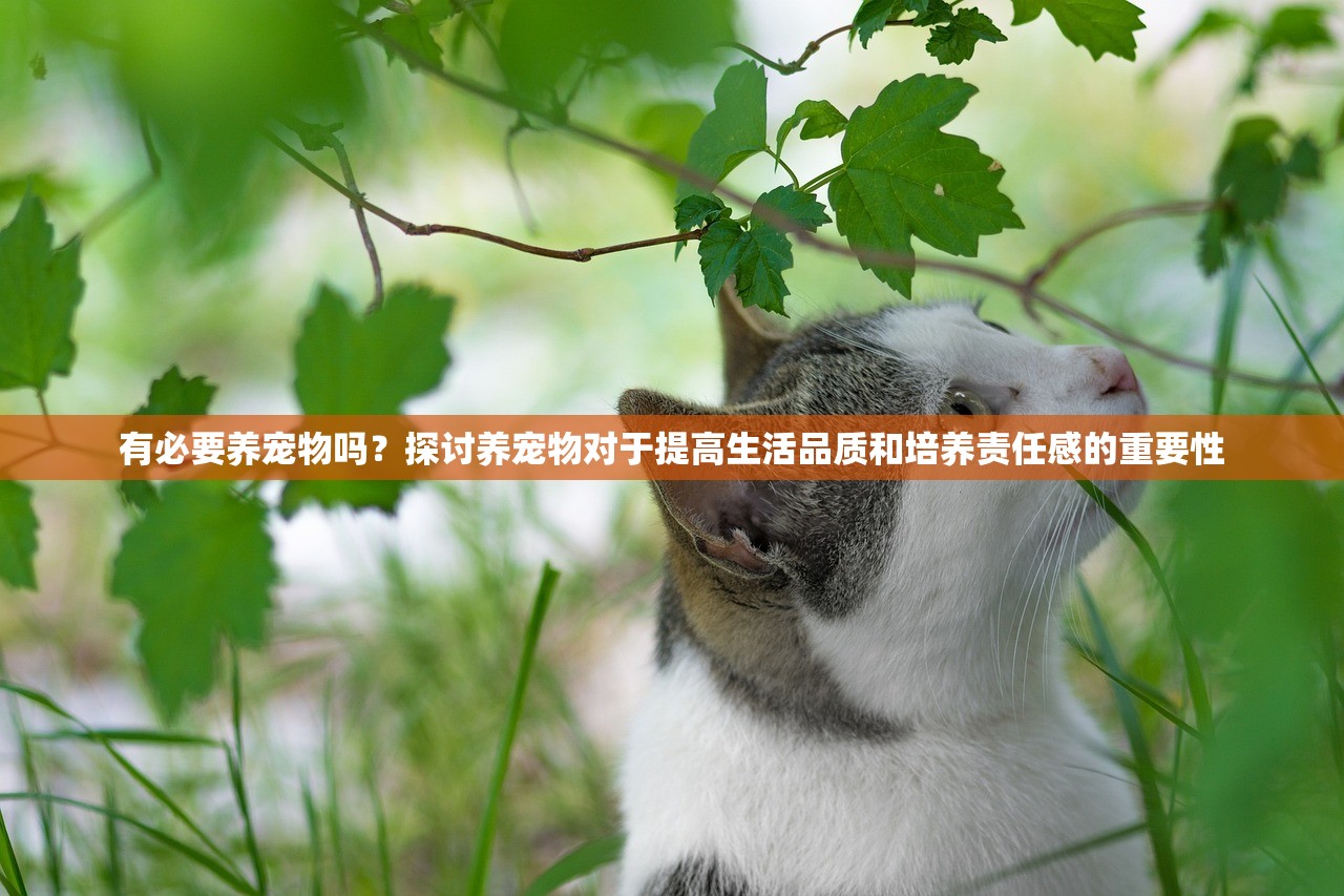 (重生嫡女谋天下洛清清免费阅读)重生嫡女谋天下，穿越时空的逆袭之路