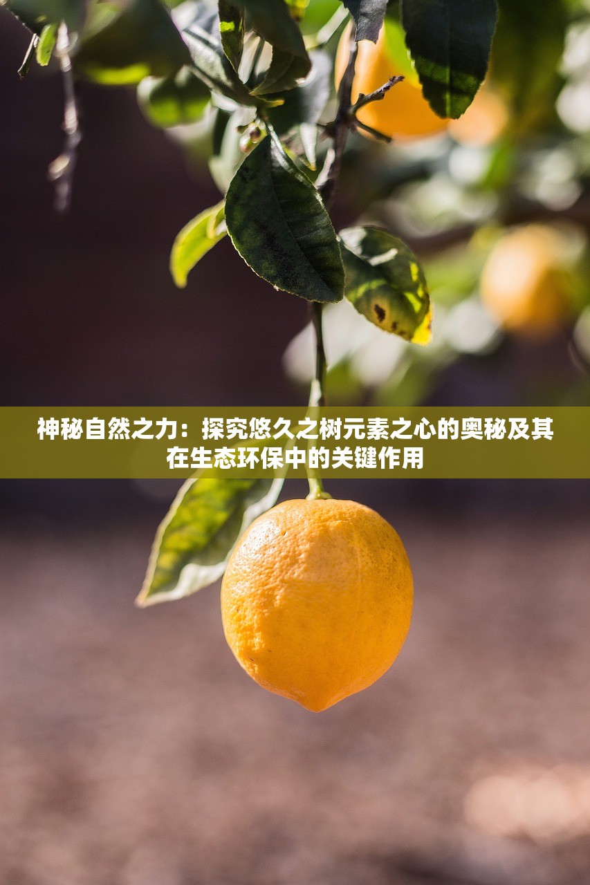 (深渊旅人手游官网)深渊旅人手游，探索无尽深渊的冒险之旅，揭秘游戏魅力与玩法解析