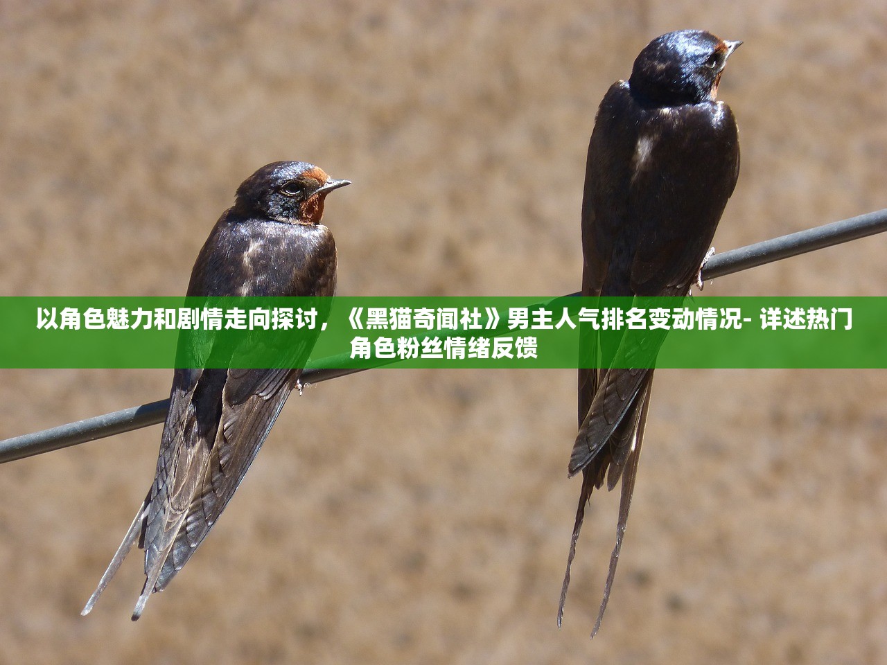 (倩女幽魂手游渠道服藏宝阁)倩女幽魂手游渠道服深度解析，渠道策略、玩家体验与未来发展展望