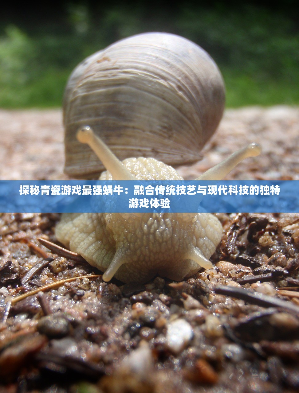 (皇座战争百度版免费下载)皇座战争百度版，深度解析这款热门策略游戏的崛起与挑战