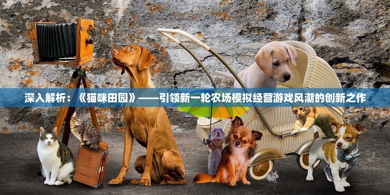 (碧蓝航线wiki官网)碧蓝航线wiki深度解析，游戏背后的历史与文化内涵