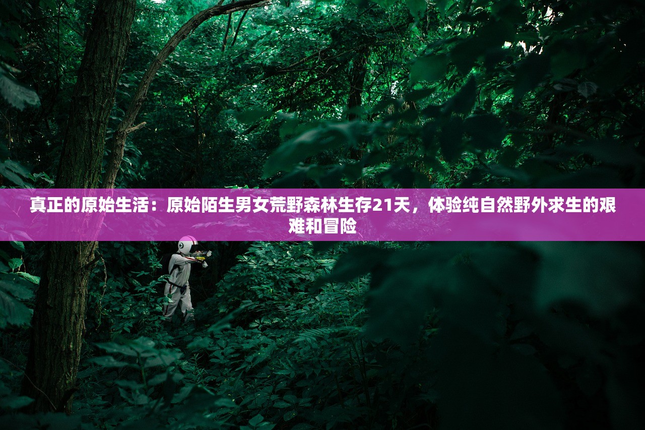 (黑风山侠士副本攻略大全图文)黑风山侠士副本攻略大全，全方位解析，助你轻松通关！