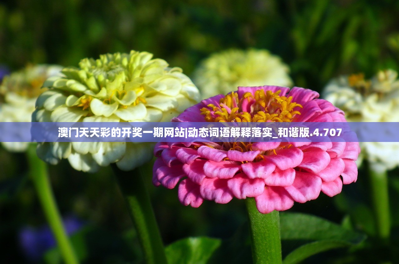 (异侠传官方网站地址)异侠传官方网站揭秘，探索武侠世界的虚拟与现实