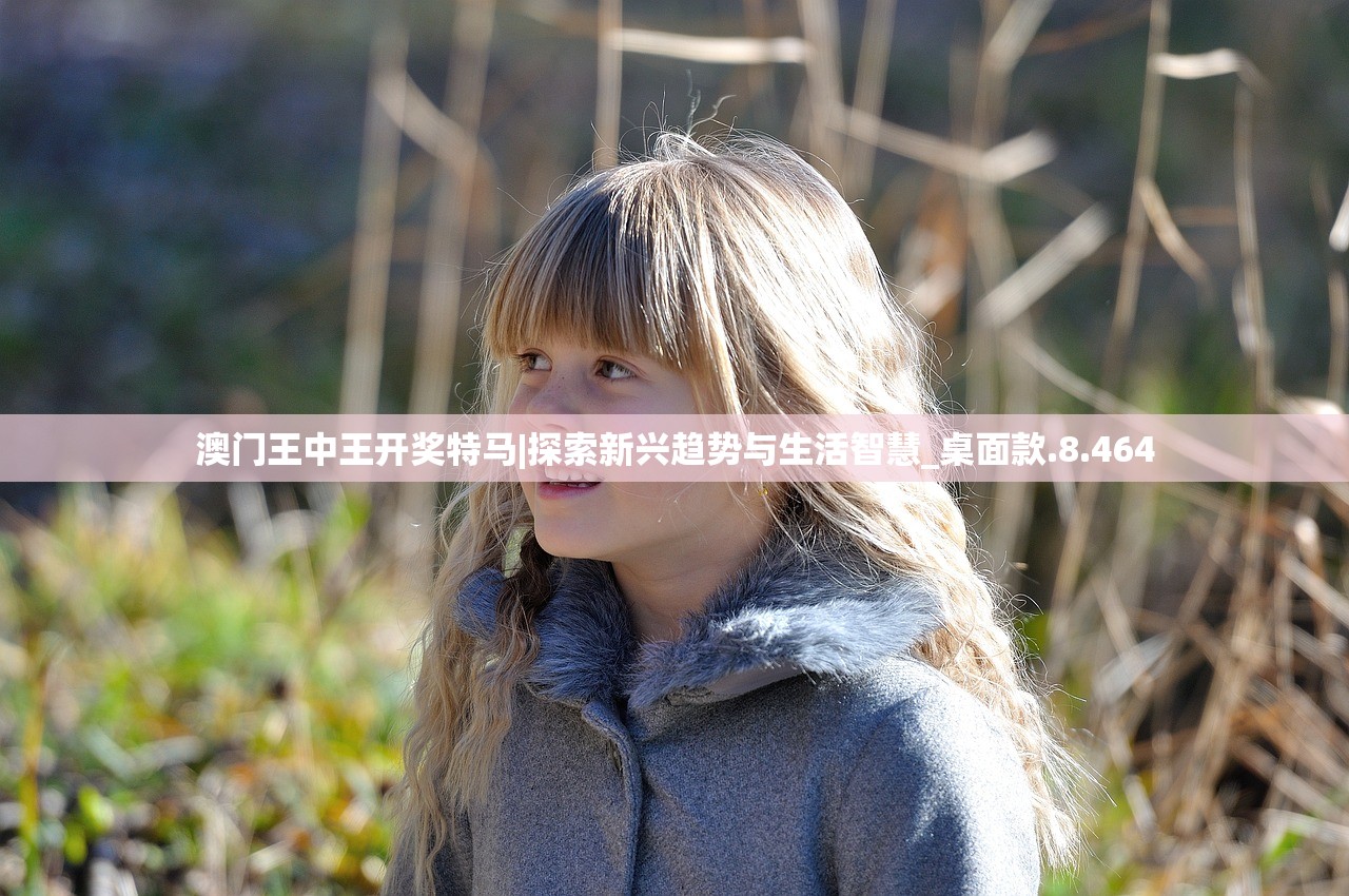 (幻灵修仙传0.1折版本)幻灵修仙传0.1折，揭秘热门修仙小说的低价魅力与市场策略