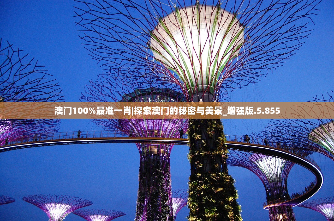 (新仙魔九界修改器怎么用)深度解析，新仙魔九界修改器揭秘，游戏平衡与作弊的边界探讨