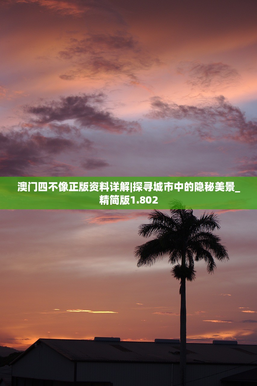 (遗落的世界2阵容)遗落的世界2深度攻略，解锁神秘遗迹，掌握生存技巧，迈向胜利之路！