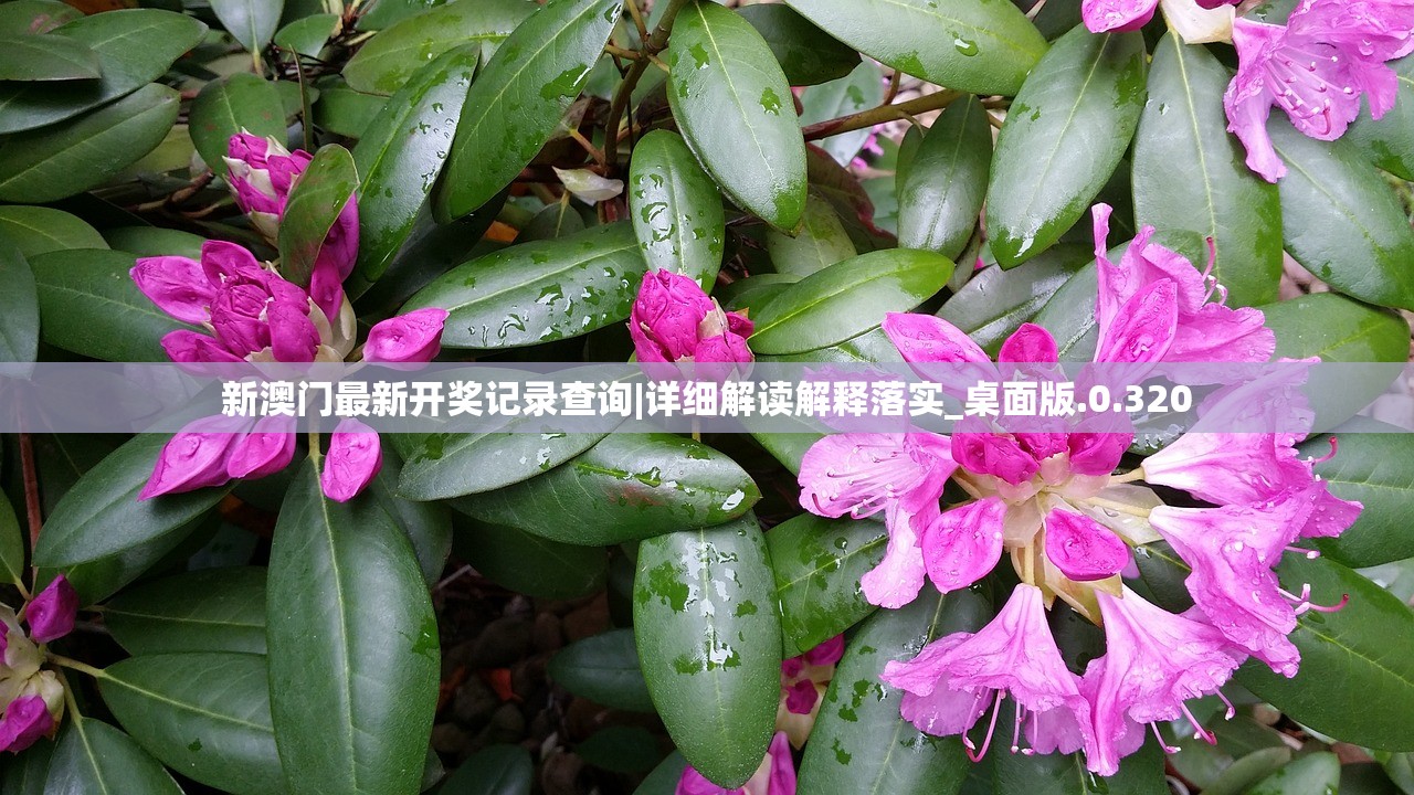 (这城有良田修改器教程)深度解析，这城有良田修改器，揭秘农业模拟游戏中的作弊奥秘与伦理探讨