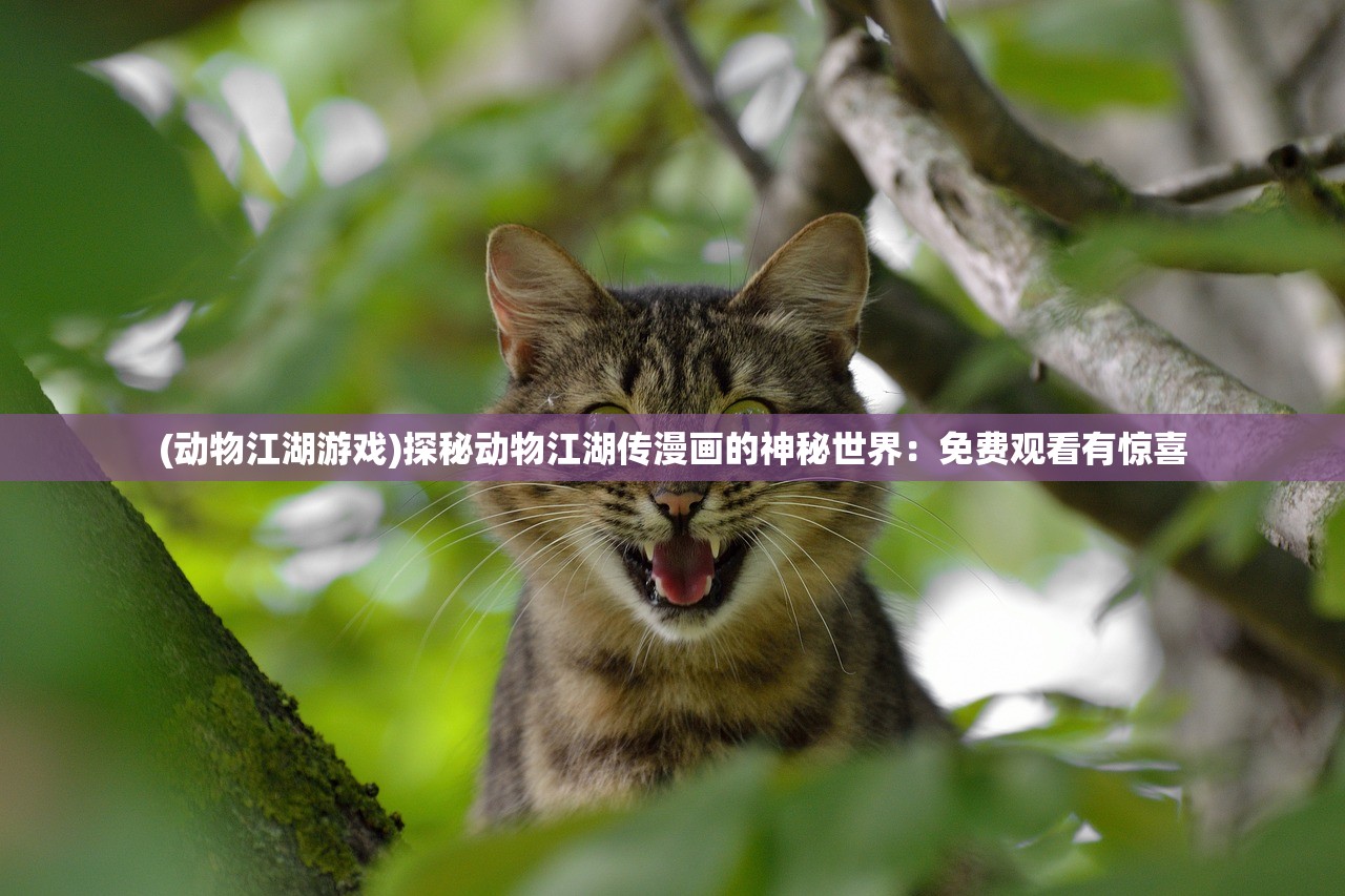 (炫彩迷宫攻略)彩绚迷宫攻略，解锁迷雾重重的奇幻世界，探索无尽的挑战与奥秘！