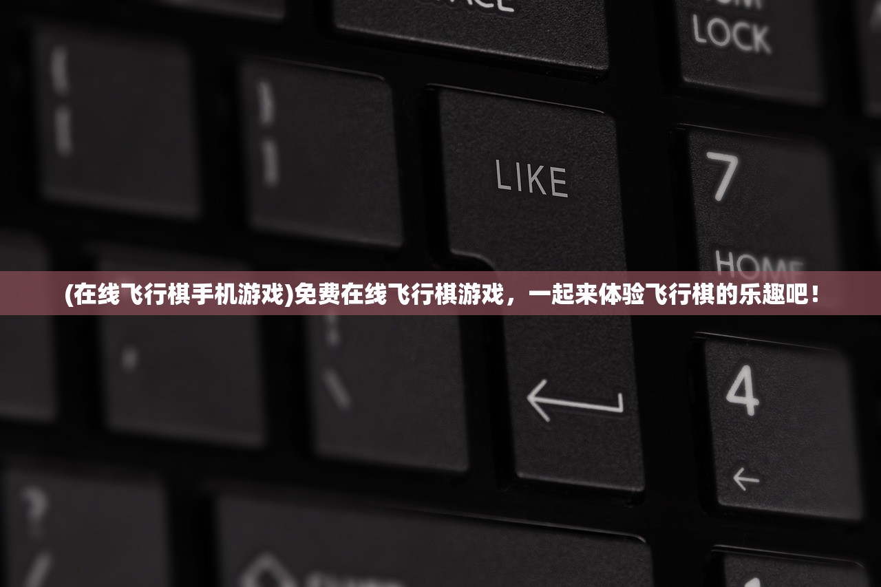 (sching 中文)Schiphalast，探索其在中国市场的应用与挑战