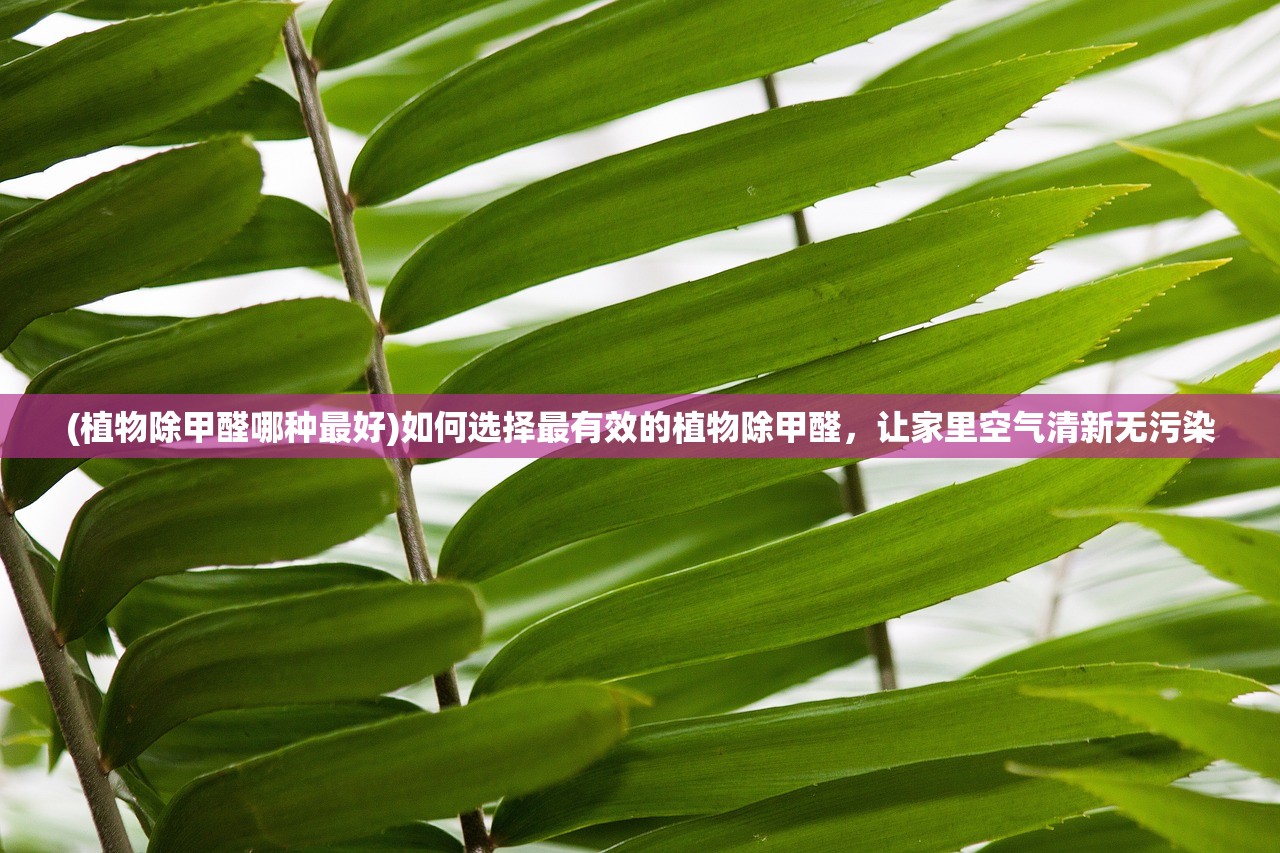 (十万个小妖精卡bug)十万个小妖精无限元宝：追寻财富，发现奇迹，探索无尽可能性
