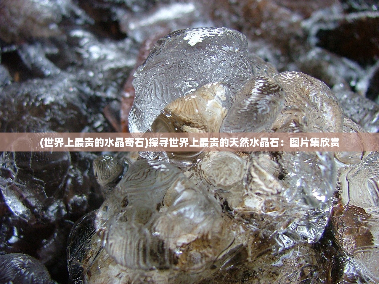 (怒火一刀正版折扣平台有哪些)怒火一刀0.1折扣平台揭秘，游戏玩家福音还是陷阱？深度解析与常见问题解答