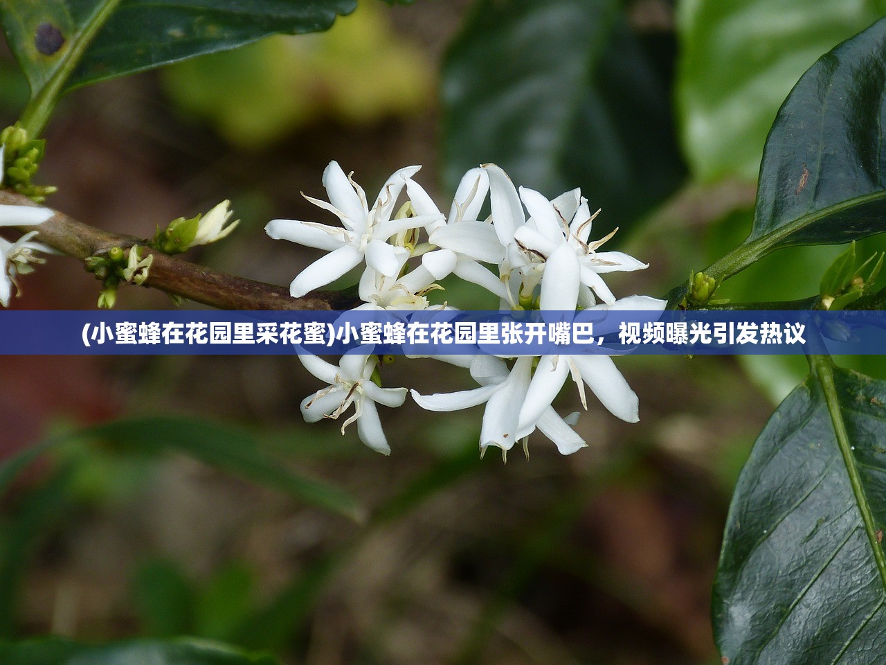(皇后成长计划李佑攻略1.8.2)皇后成长计划1.8版本李佑攻略，全面解析与实战技巧分享