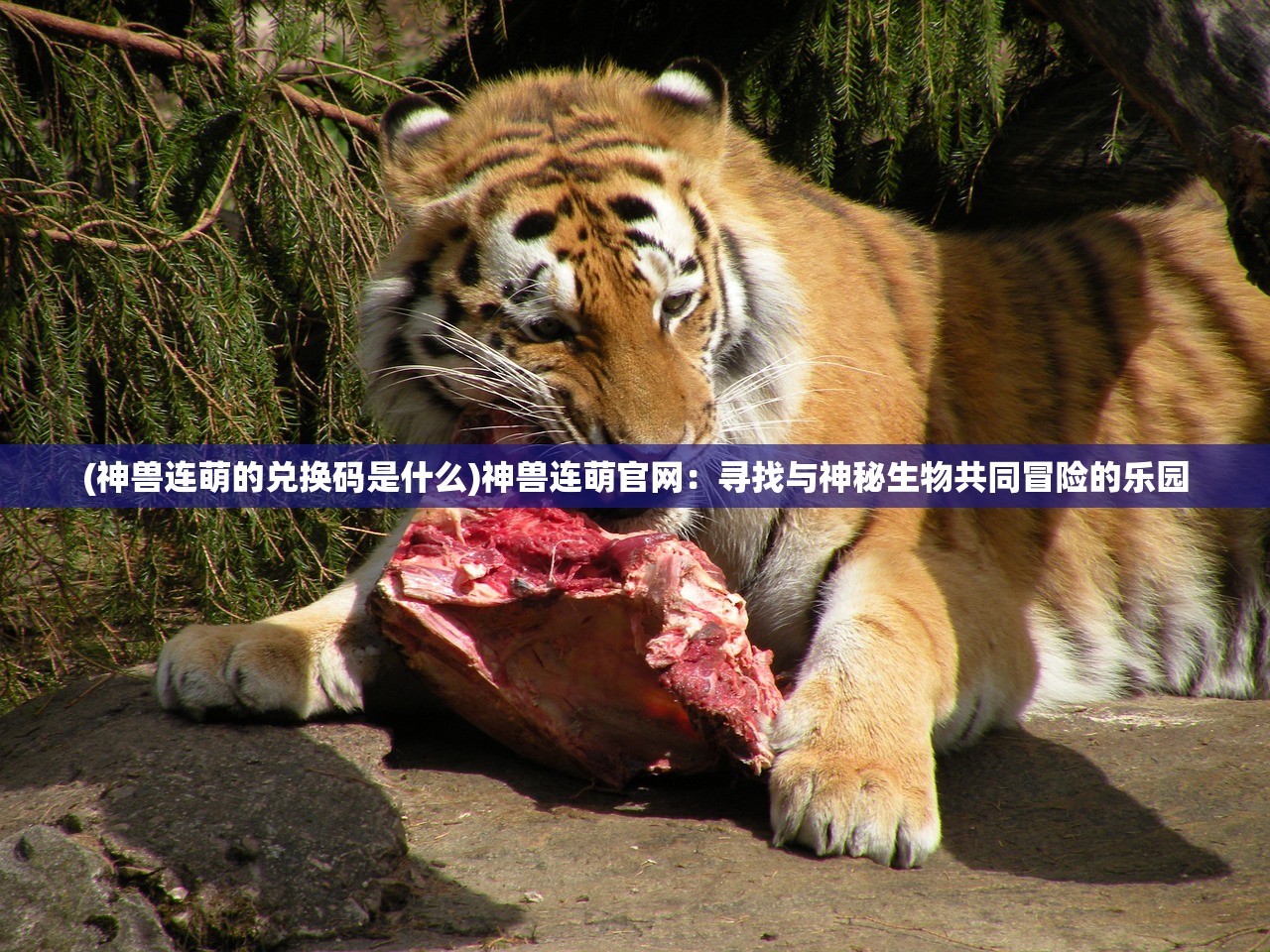 (指尖领主官网)指尖领主，关服之谜揭晓，曾经的指尖霸主何去何从？