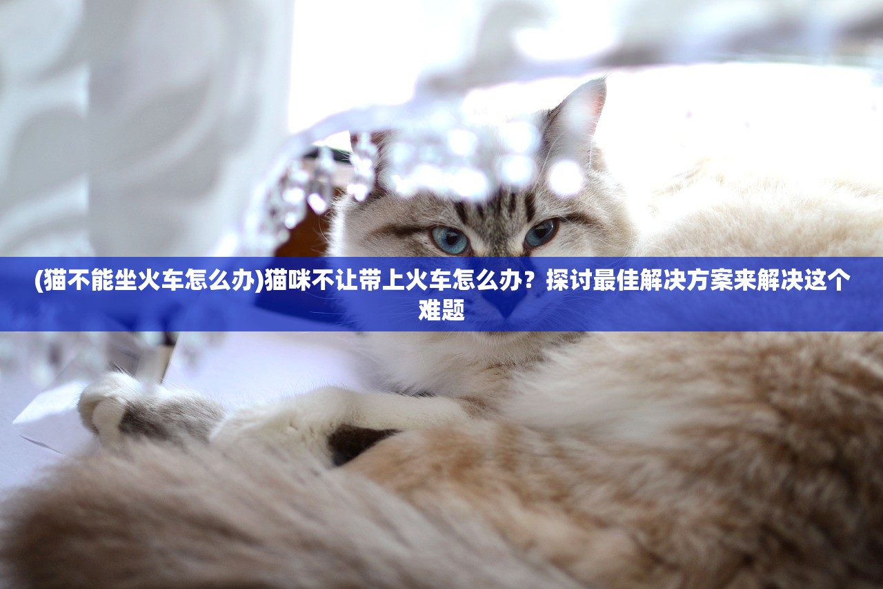 (龙王传说笔趣阁无弹窗阅读漫画)龙王传说笔趣阁无弹窗阅读，穿越奇幻世界的阅读之旅