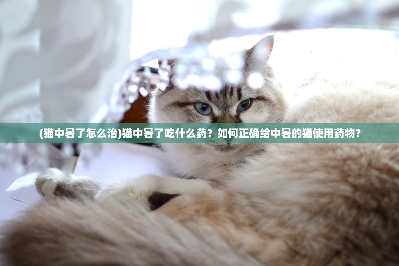 (坠星大陆买断版兑换码)深度解析，坠星大陆买断版，游戏新纪元的到来与玩家体验的变革