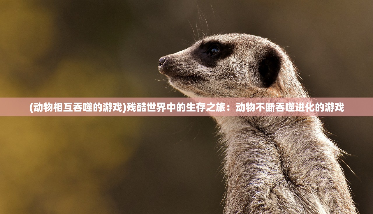 (三国帮派名字大全霸气)三国风华录，揭秘三国帮派名字大全及其文化内涵