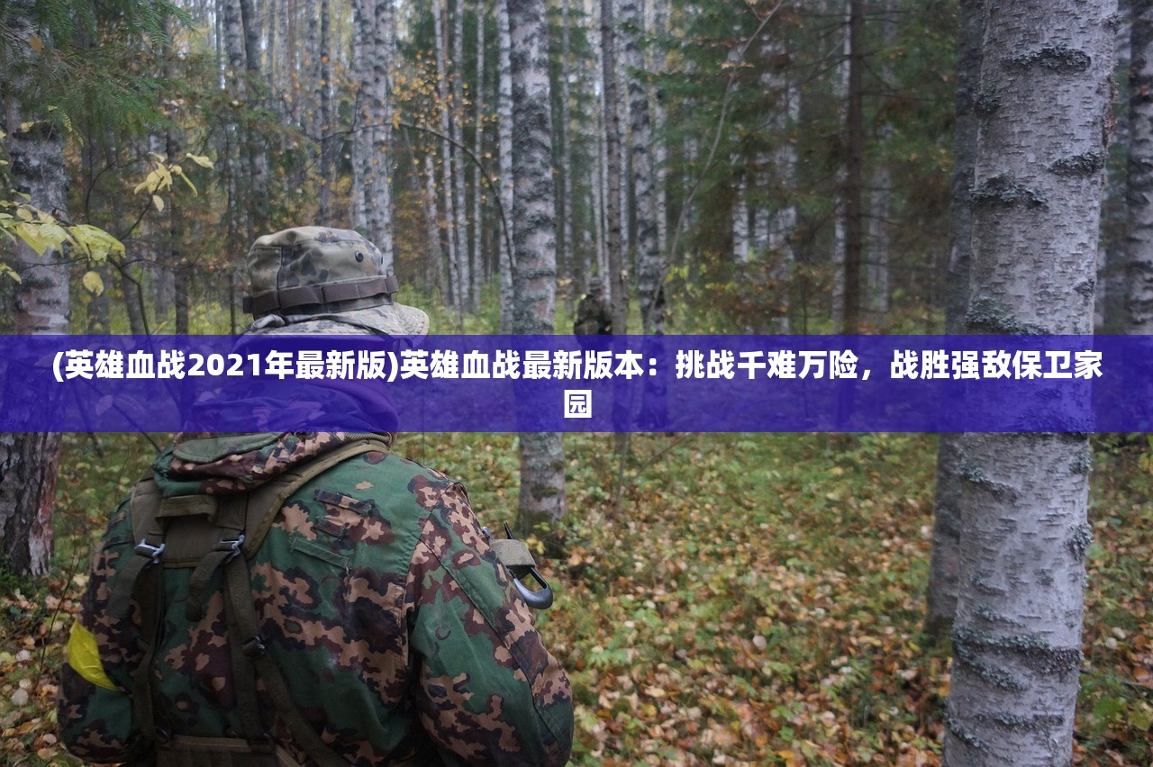(战魂无双陈枫免费阅读小说)战魂无双，陈枫的传奇征程——免费阅读背后的故事与启示