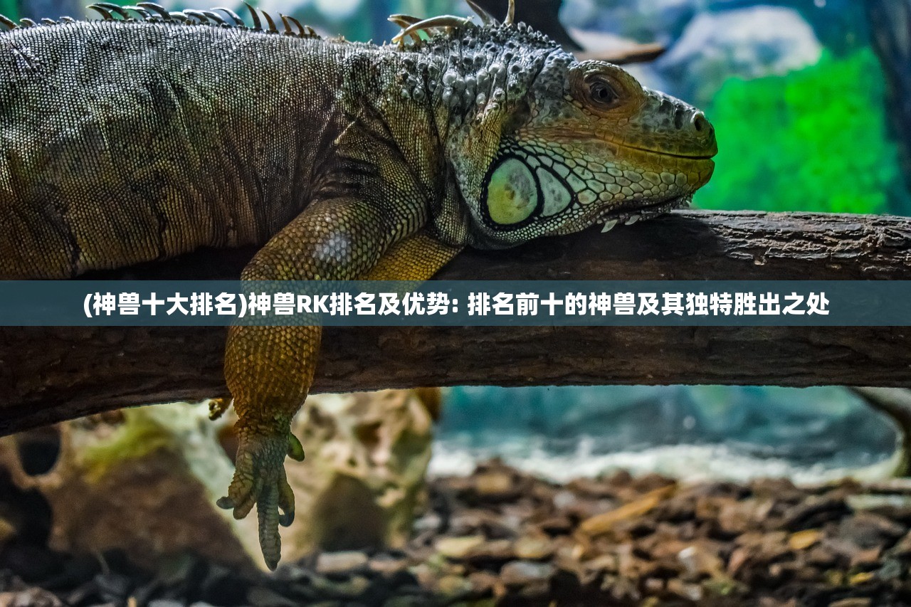 (美版盗墓迷城HD魔咒)探秘美版盗墓迷城HD，融合盗墓元素与冒险精神的新视觉体验