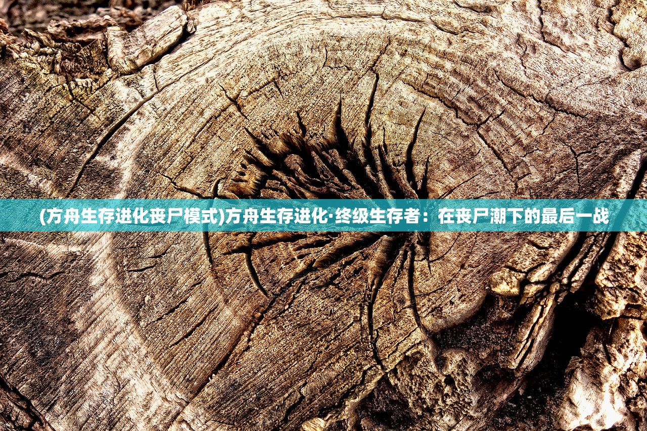 (萌神战姬视频)二次元萌神战姬，揭秘虚拟战场上的萌系女神们与她们的传奇之战