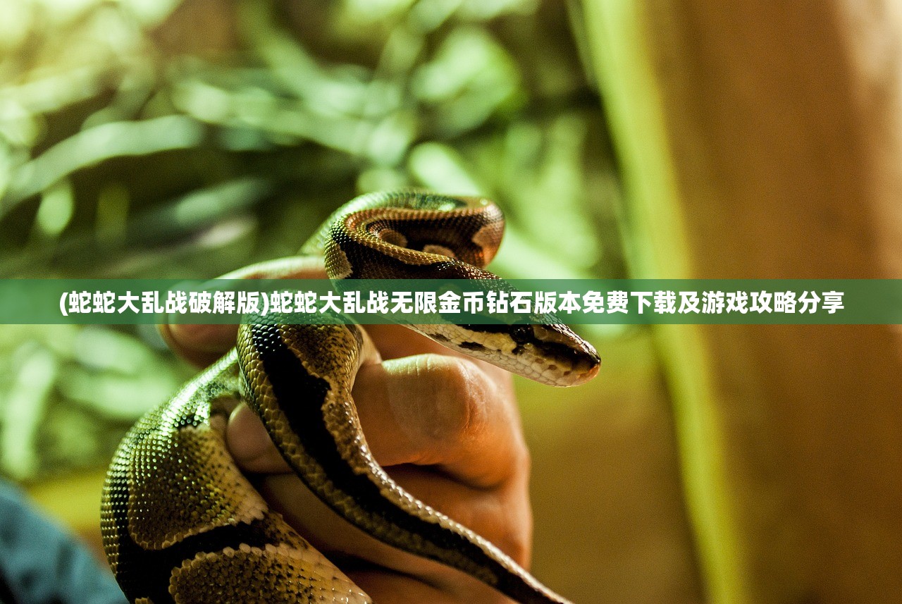 (三国大作战武器配置表详细图)三国大作战武器配置表详解，武器性能解析与实战运用探讨