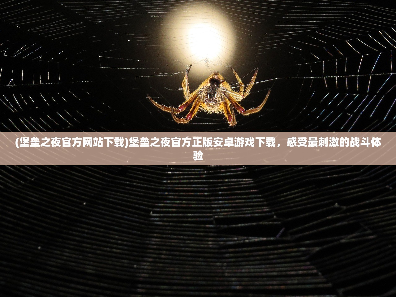 (武林秘籍啥意思)武林秘笈与武林秘籍，探寻中国武侠世界的神秘传承之谜