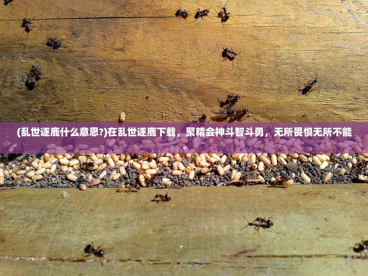(名将之路吧)名将之路，辉煌消失之谜，探寻古代军事英才陨落的原因与启示