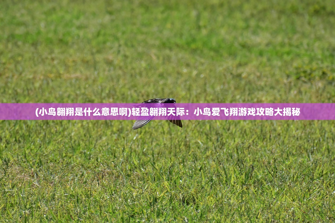 (绯炎之刃手游)绯炎之刃藏龙寺，揭秘神秘剑术秘境与藏龙寺的历史渊源