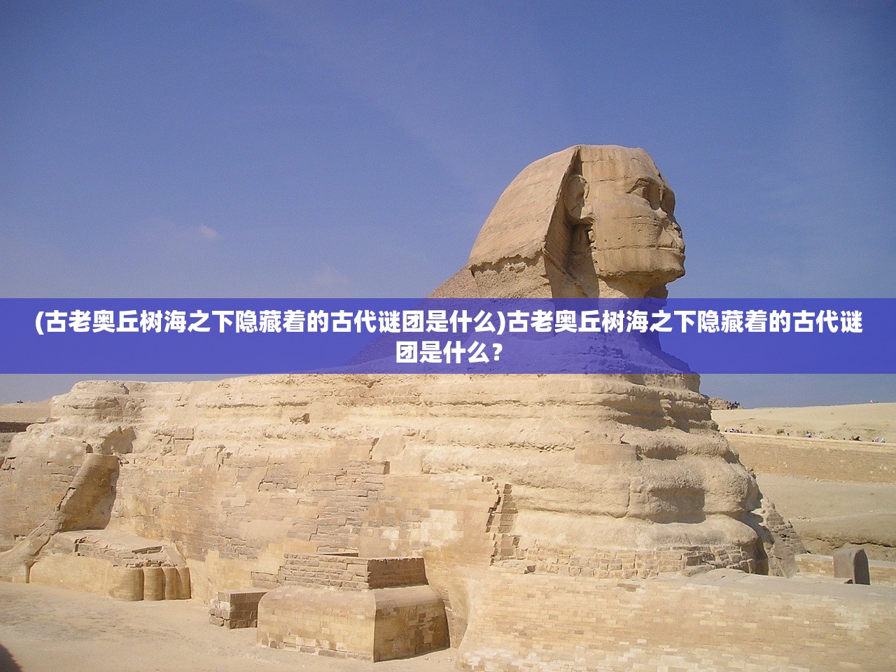 (喵星联盟阵容搭配贴吧)喵星联盟，阵容搭配攻略，打造最强喵星战队！