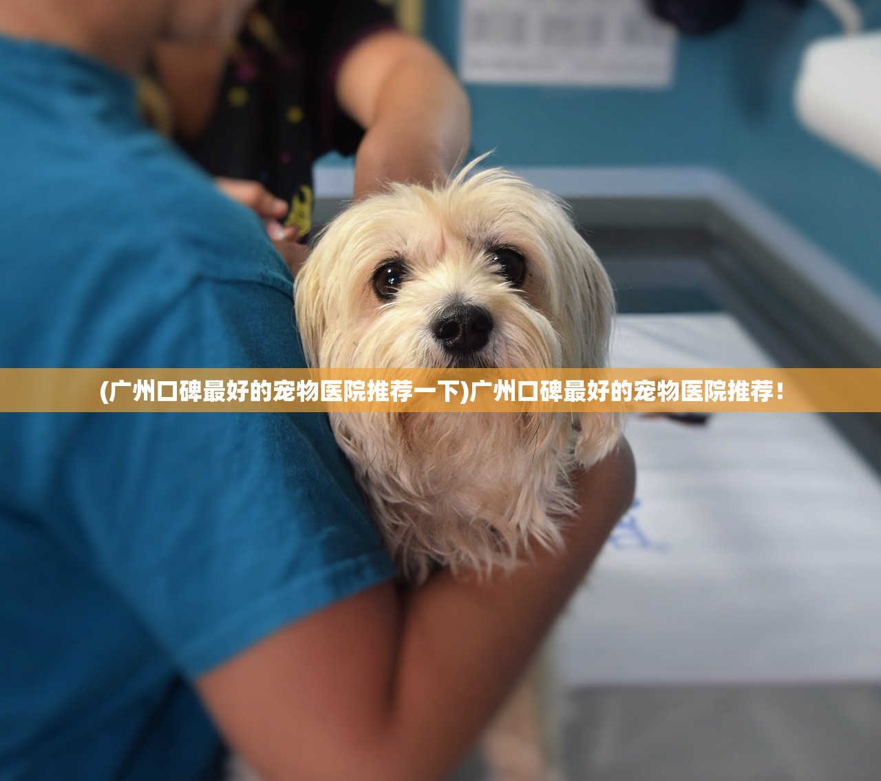 (东宫皇子名字叫什么)东宫皇子名字探秘，背后的寓意与文化传承