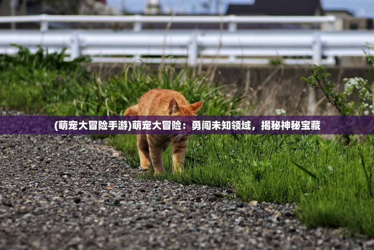 (铁杆三国攻略)铁杆三国帝王攻略，解锁三国霸业的关键途径详解