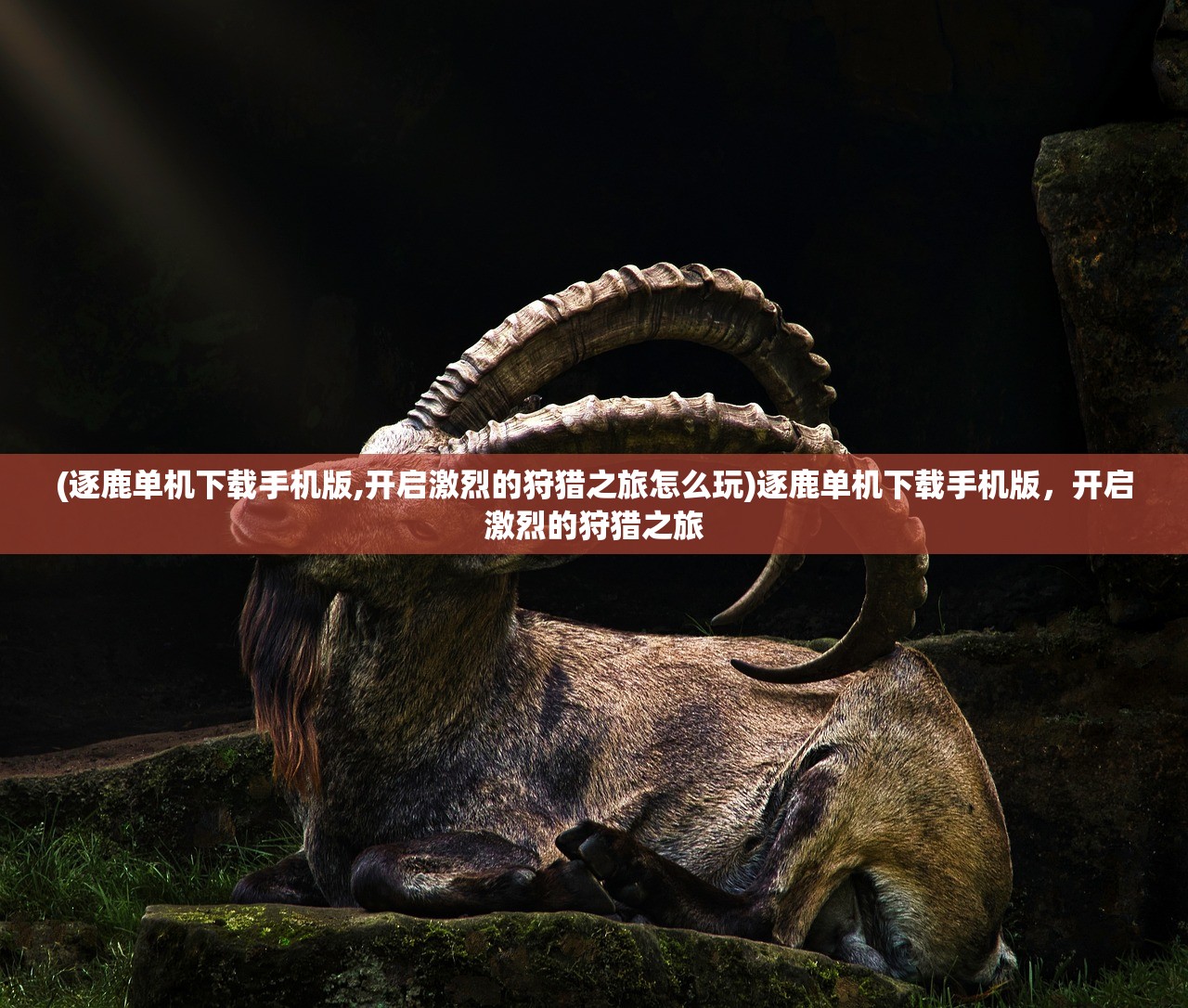 (星舰起航下载)星舰起航，揭秘科幻巨作为何突然下架之谜