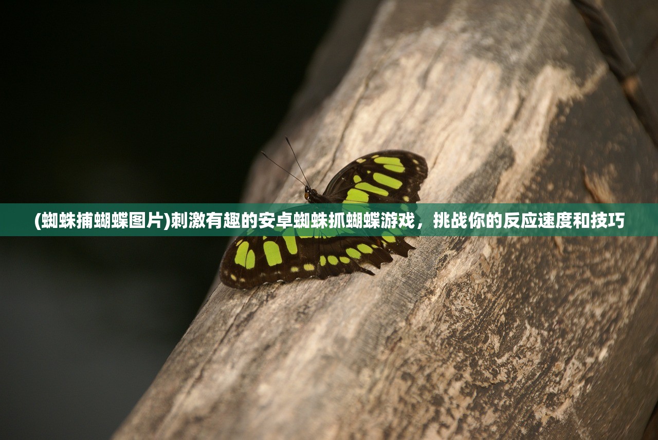 (使命召唤5中文版单机版免费下载)使命召唤5中文版单机版免费来袭，深度解析与常见问题解答