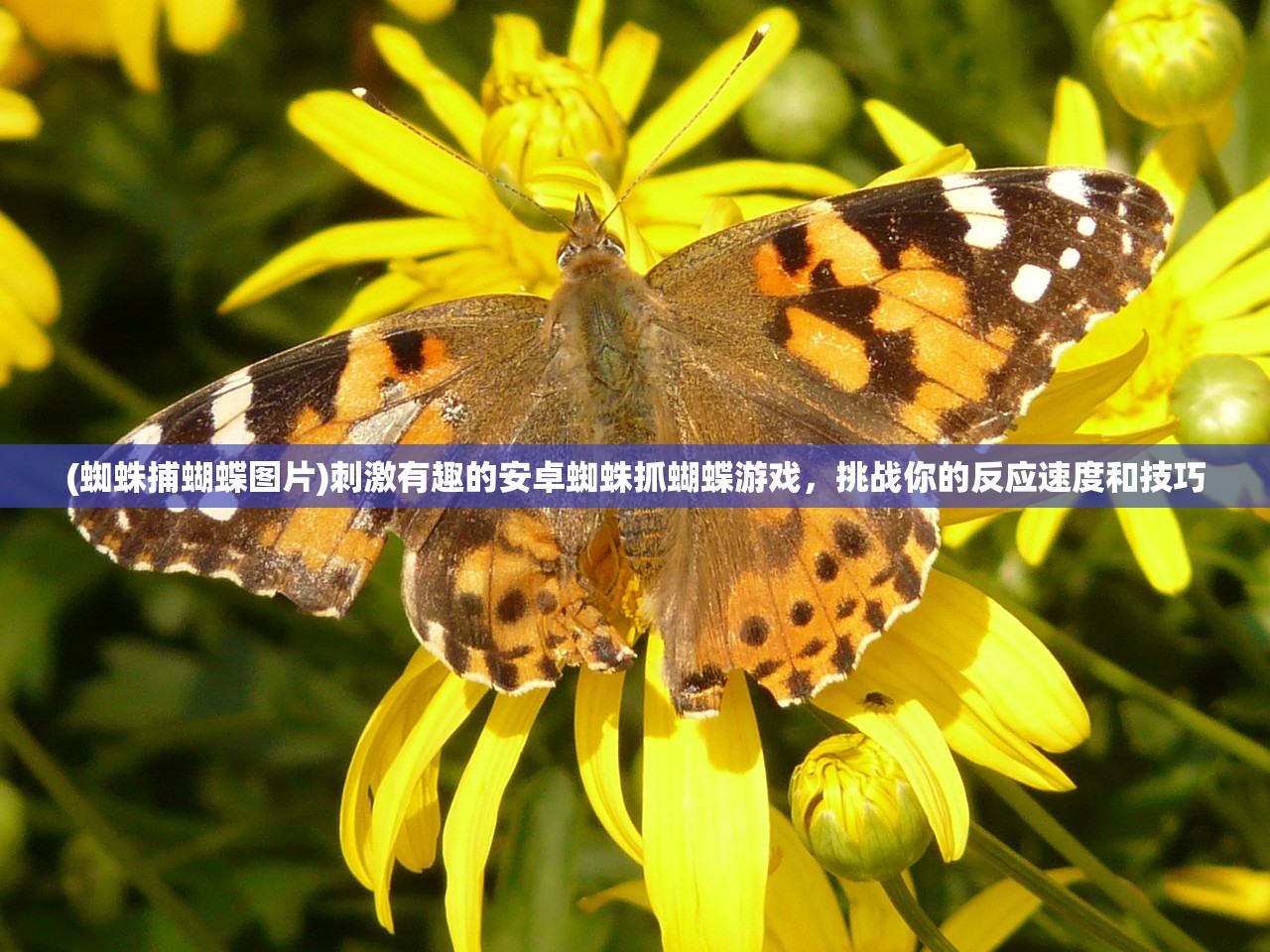 (魔塔攻略24层怎么过)魔塔攻略，深入揭秘24层详细图文攻略，带你挑战巅峰！