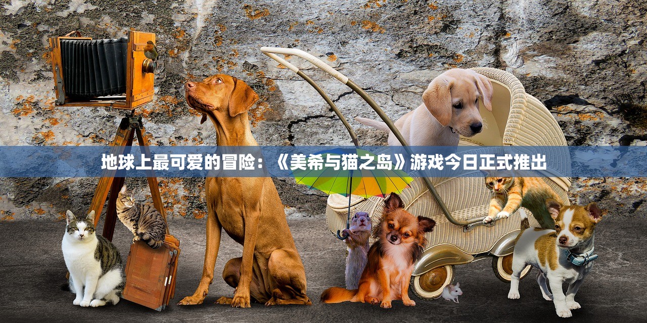 (尊龙最帅的十张照片高清)尊龙十大经典瞬间，领略东方美男子的独特魅力