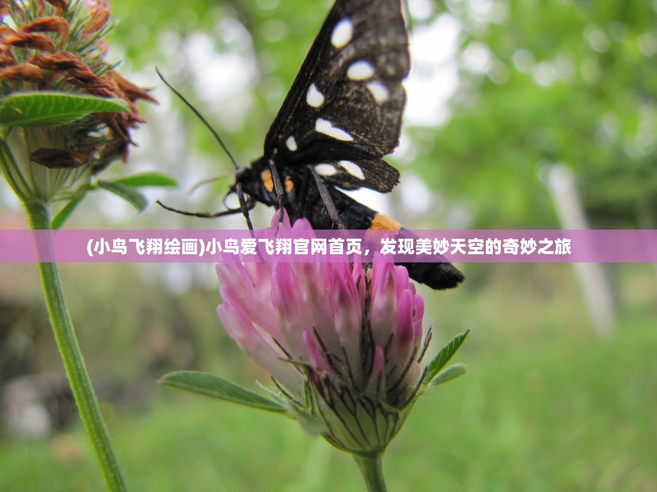 (回到明朝做昏君TXT下载)穿越时空，回到明朝做昏君的奇幻之旅与历史反思