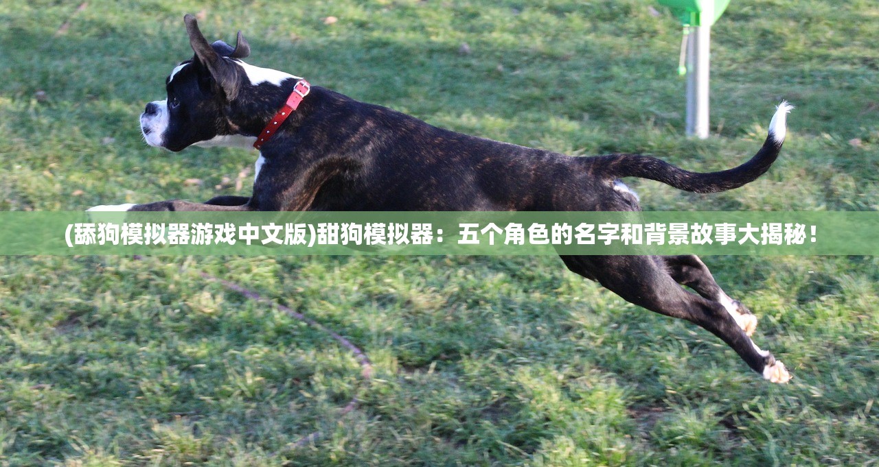 (魔戒战争场面好壮观啊)魔戒战争，一场跨越单机与多人世界的史诗冒险