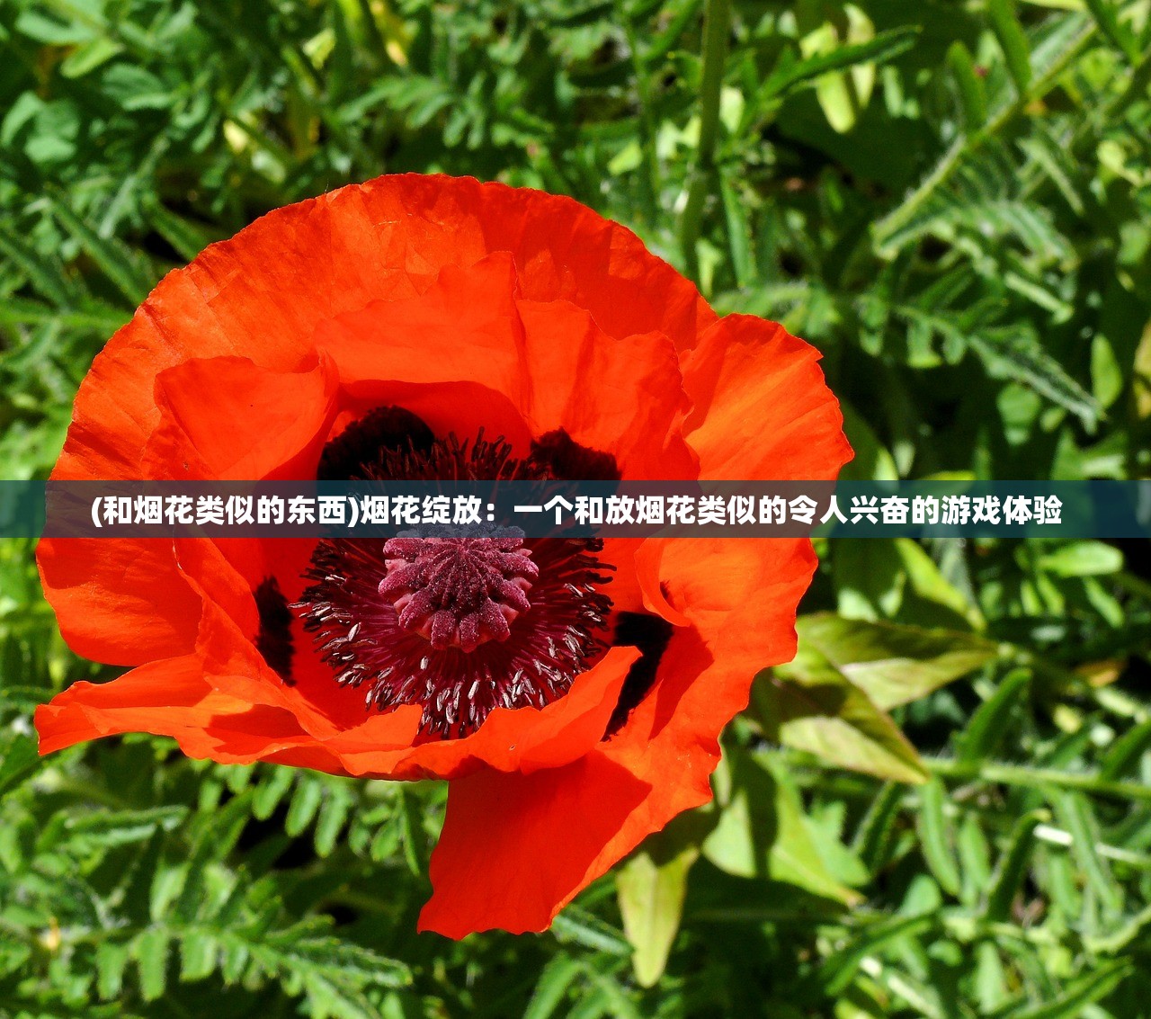 (守塔不能停召唤流阵容站位)守塔不能停召唤流阵容，解析与实战攻略