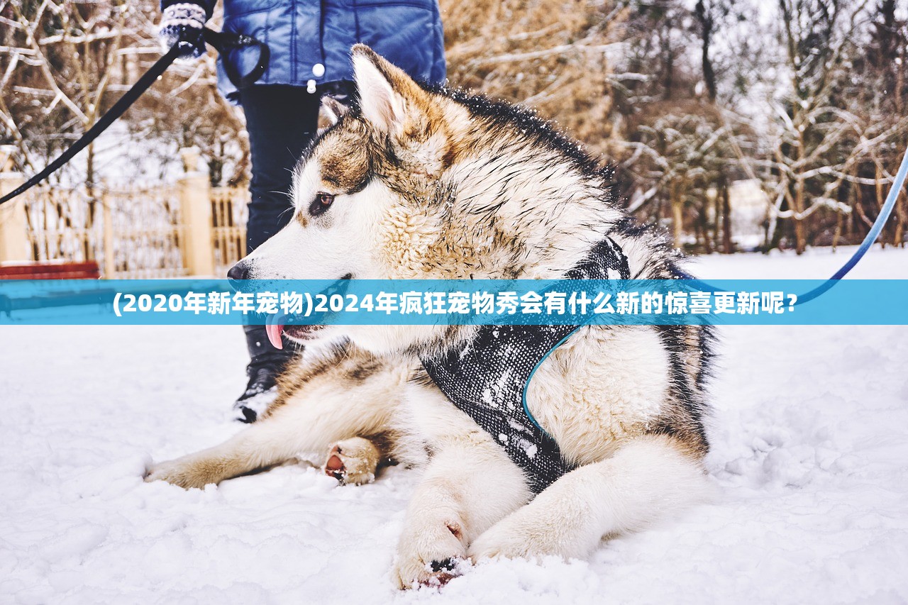 (熊猫面馆怎么下架了啊)熊猫面馆神秘下架，背后的原因与行业启示探析