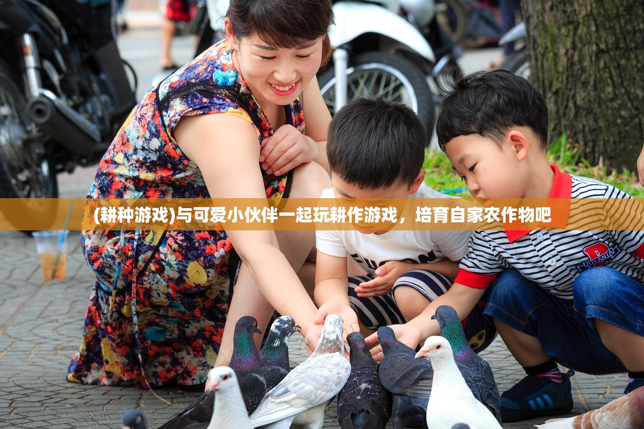 (忍者意志游戏)忍者意志，停服之谜解析与玩家情感共鸣