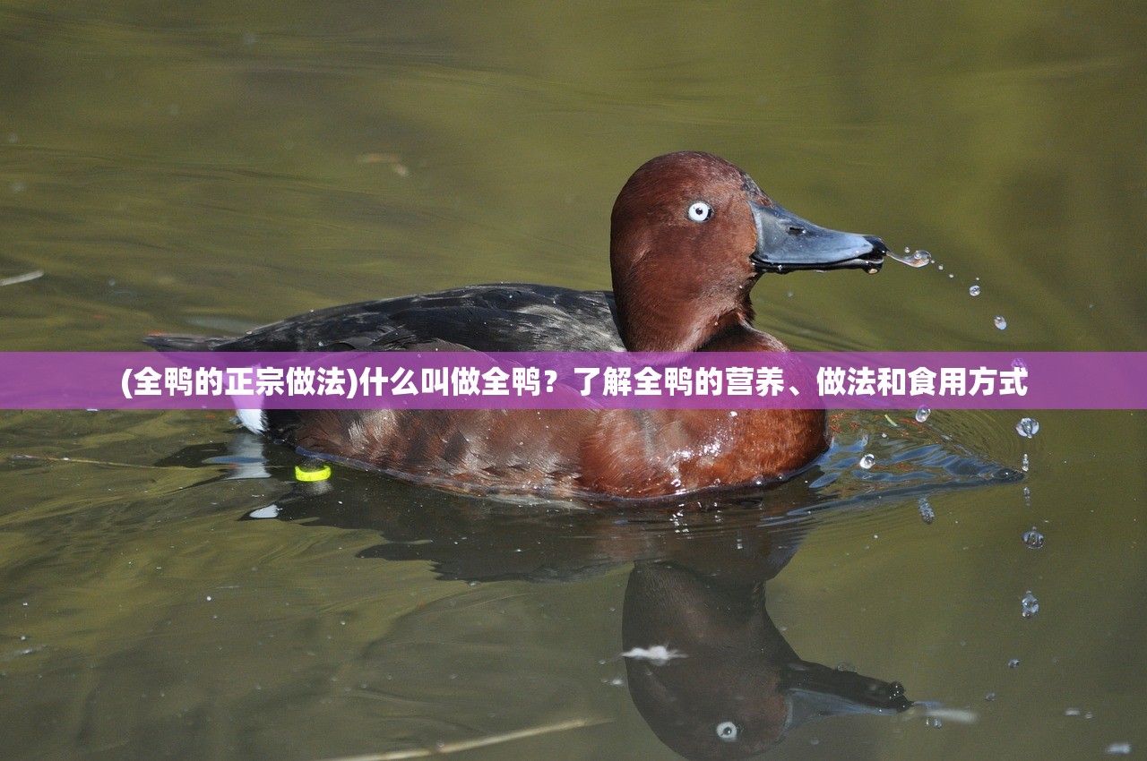(元素英雄无限金币广告下载)元素英雄无限金币免广告攻略，畅享游戏乐趣，告别繁琐广告烦恼