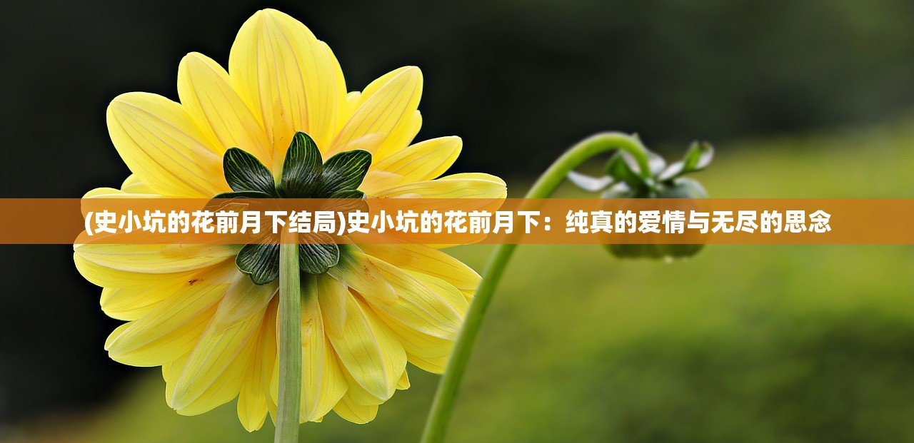 (大宋端游ol官网)大宋端游，穿越时空的宋代风情体验，揭秘古代生活魅力