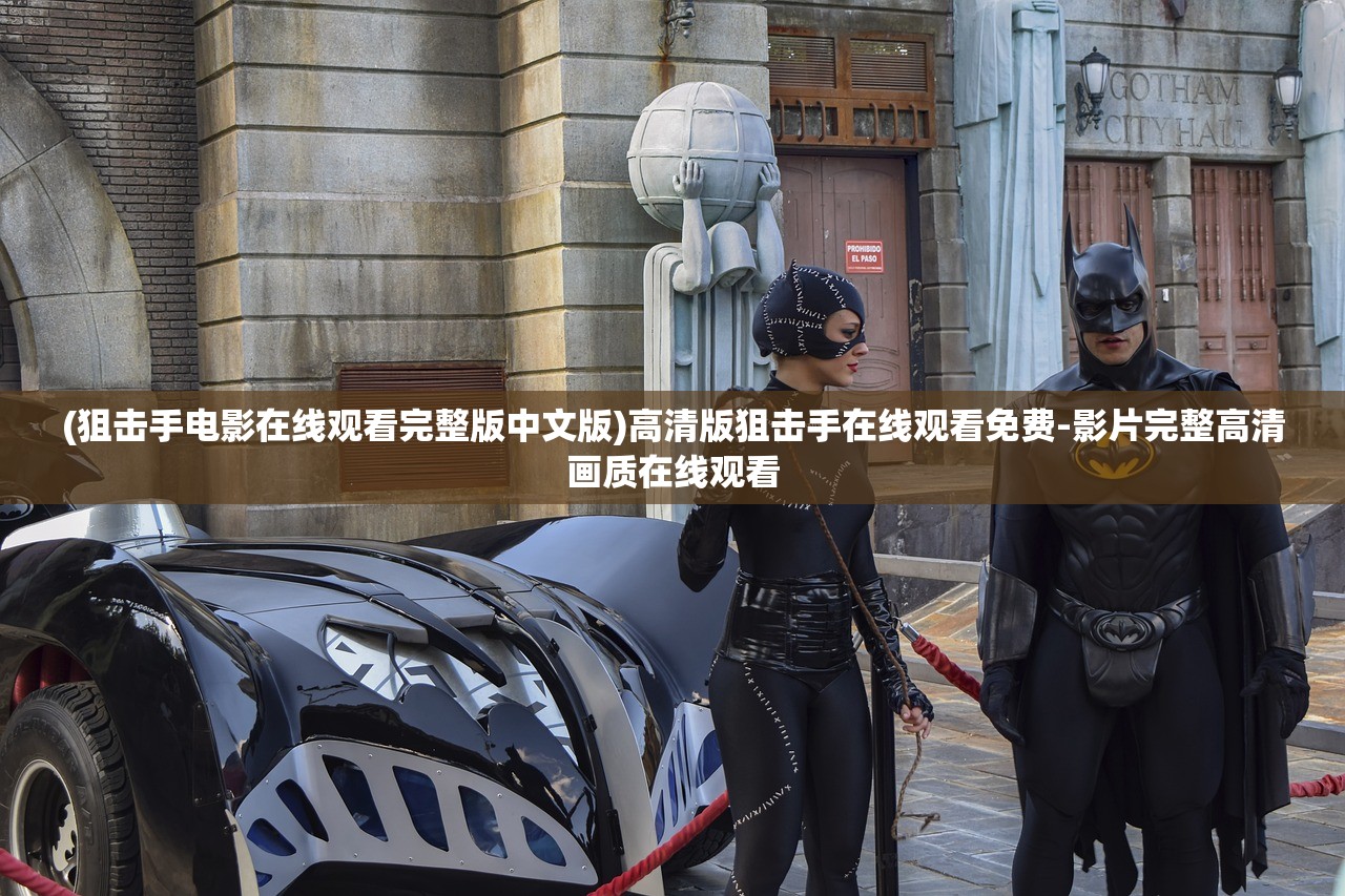 (男兵女将的意思)男兵女将，性别界限的突破与职业精神的体现